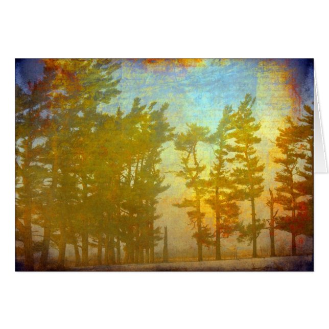 Cartão Árvores de inverno (Frente Horizontal)