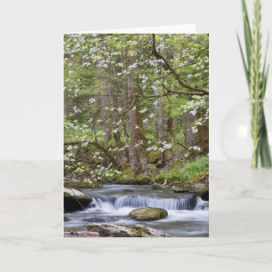 Cartão Árvores de madeira   Excelente Enfumaçado Mountain