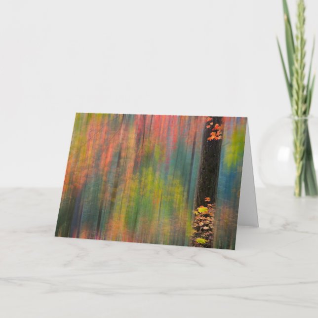 Cartão Árvores de Mapeamento | Silver Falls State Park (Frente)