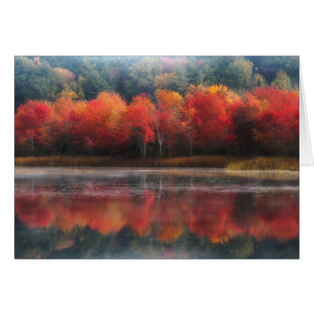 Cartão Árvores de outubro (Frente Horizontal)