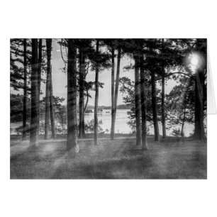 Cartão Árvores De Perigo À Escala De Cinza De Rocha Mesa