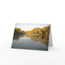 Árvores e lagoa douradas