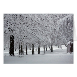 Cartão árvores e neve