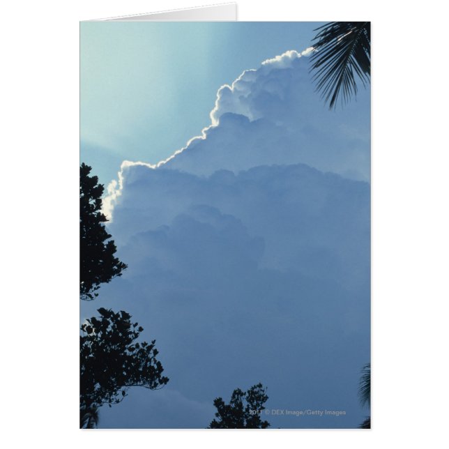 Cartão Árvores e nuvens (Frente)