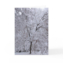 Árvores em Carga de Neve