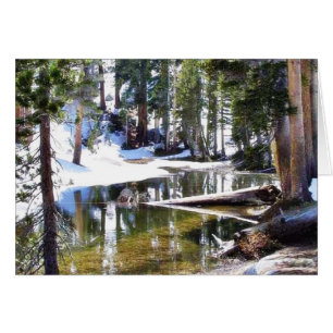 Cartão Árvores Forrests dos lagos