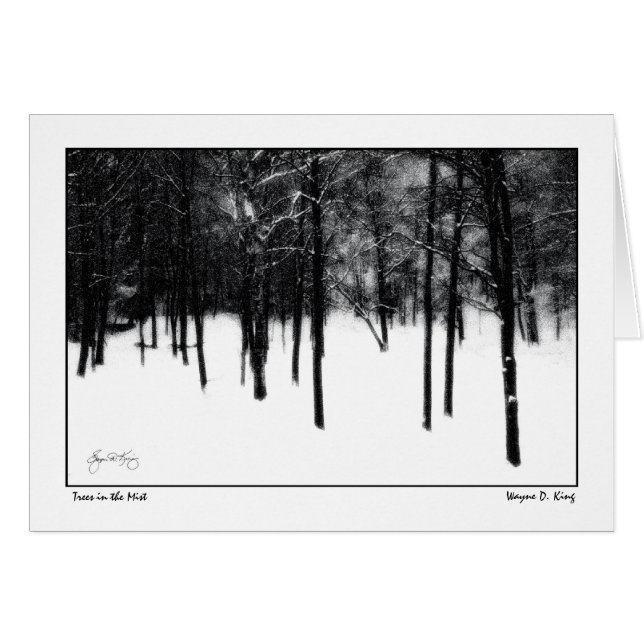 Cartão Árvores na névoa (Frente Horizontal)