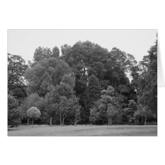 Cartão Árvores no Parque Bute, Cardiff - BW (Frente Horizontal)