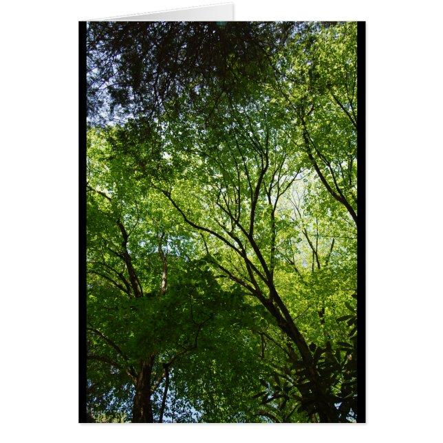 Cartão Árvores ocas sonolentas (Frente)