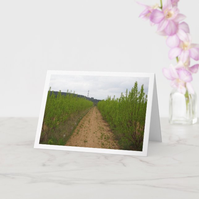 Cartão Árvores Persimmon na Primavera Card (Orquídea)