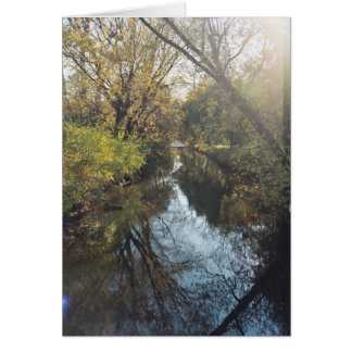 Cartão Árvores Refletoras de Água