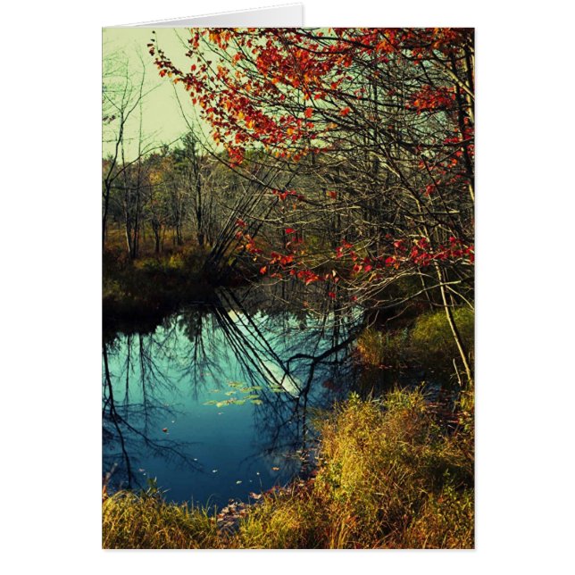 Cartão Árvores tortas (Frente)