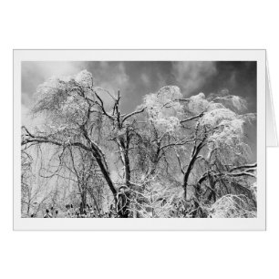 Cartão árvores vestem inverno