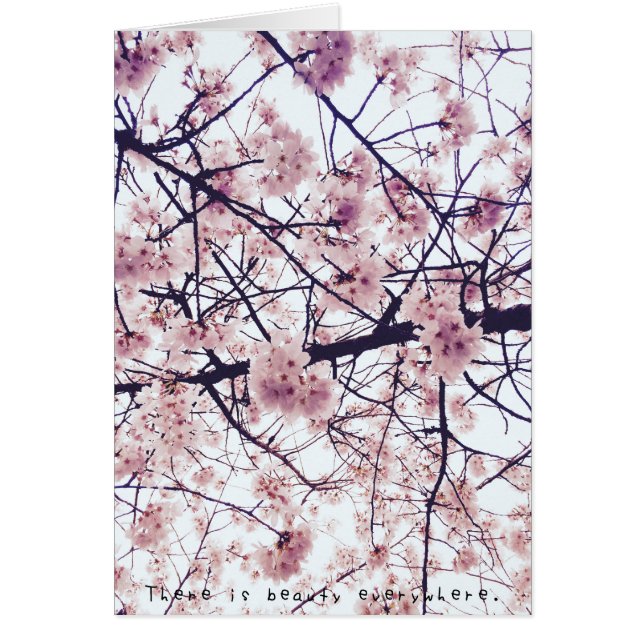 Cartão As aventuras surpreendentes de Amelia (Frente)