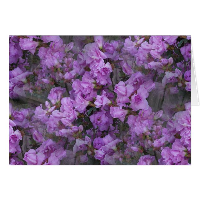Cartão As Azaleas sem fim (Frente Horizontal)