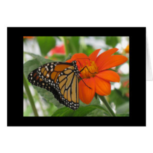 Cartão As borboletas estão livres