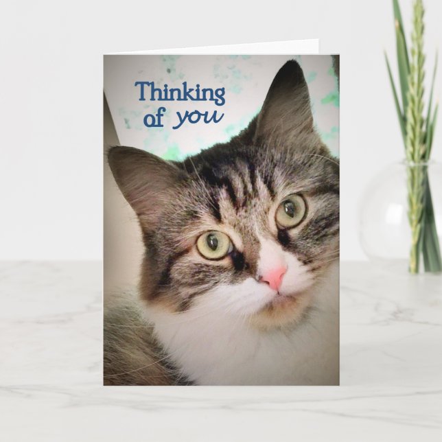 Cartão As expressões doces que pensam de você cardam (Frente)