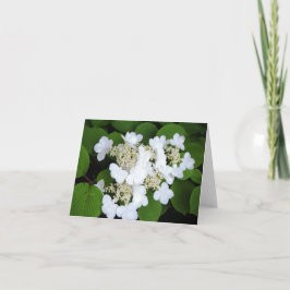 Cartão As "flores gostam de borboletas "