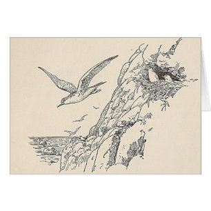 Cartão As gaivota de mar