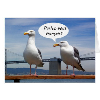 Cartão As gaivotas falam francês