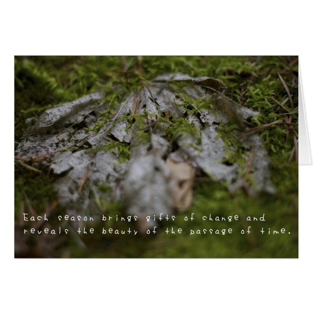 Cartão As incríveis aventuras de Amelia (Frente Horizontal)