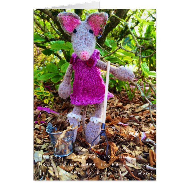 Cartão As incríveis aventuras de Amelia (Frente)