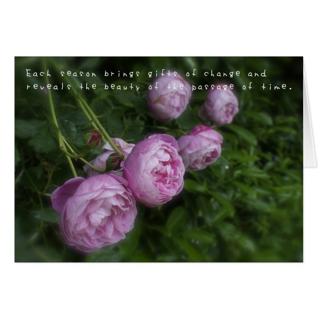 Cartão As incríveis aventuras de Amelia (Frente Horizontal)