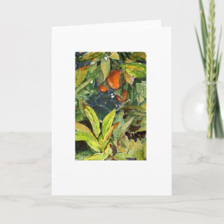 Cartão As laranjas na árvore escrevem extremamente seco