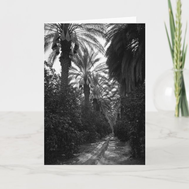 Cartão As palmas e as árvores alaranjadas aproximam (Frente)