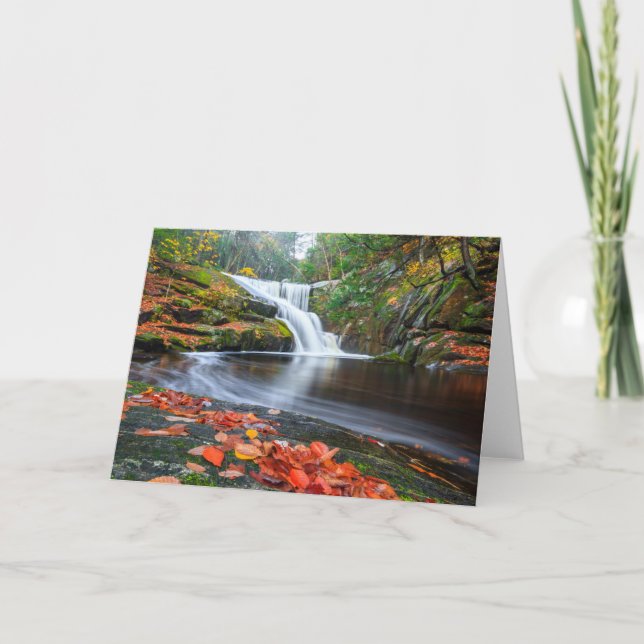 Cartão As quedas de Ender na queda (Frente)