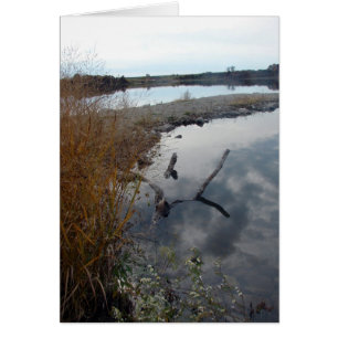 Cartão As Reflexões Perfeitas