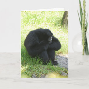 Cartão Às Vezes Até Os Macacos Têm Dias Maus