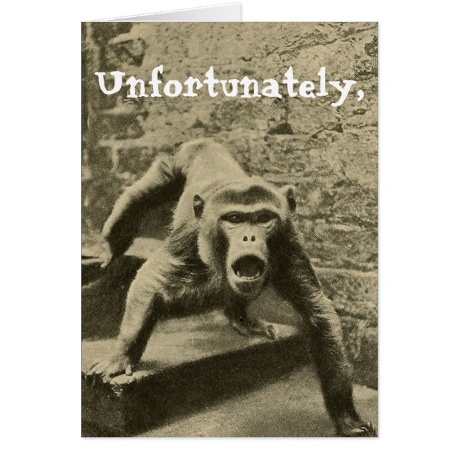 Cartão Às vezes é o seu circo, eles são seus macacos (Frente)