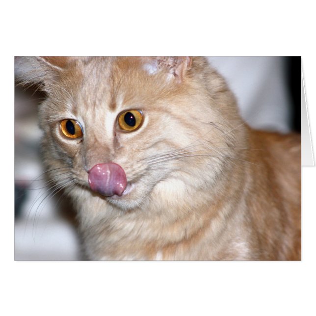 Cartão Às vezes tento ser normal (Frente Horizontal)