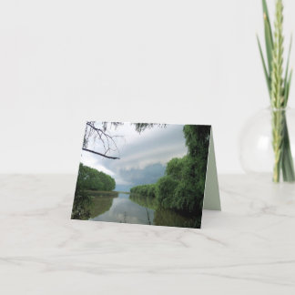 Cartão Às vezes uma tempestade de passagem…