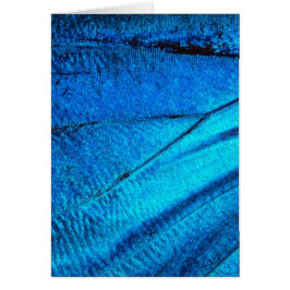 Cartão Asa Azul Iridescente da Borboleta