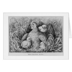 Cartão &, asa das mães