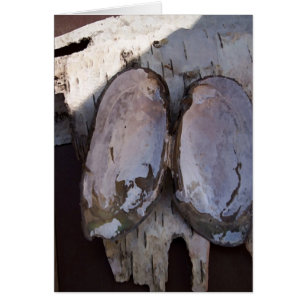 Cartão Asas Clamshell