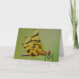 Cartão Asas De Placa De Nota De Dragonfly Dourada