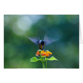 Cartão Asas do anjo