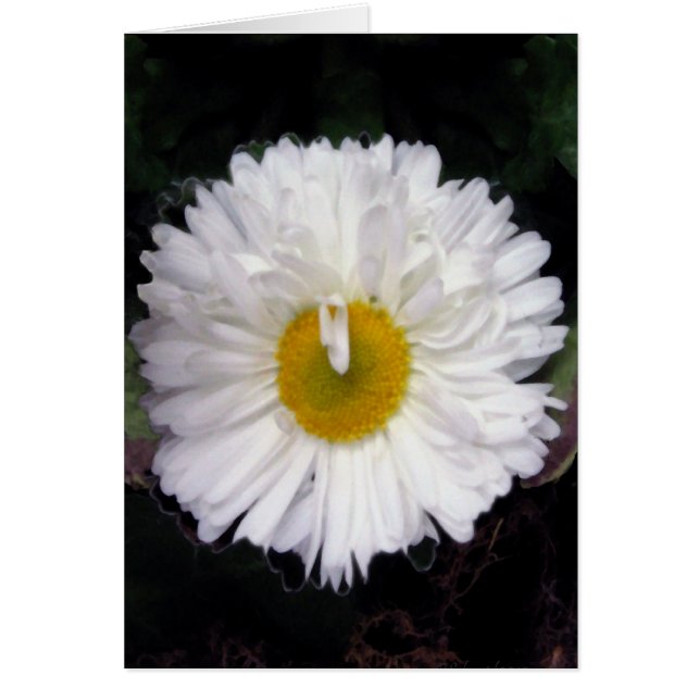 Cartão Asas do verão (Frente)