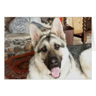 Cartão Ascendente próximo do Aussie