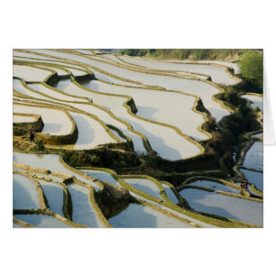 Cartão Ásia, China, Província de Yunnan, Condado de Yuany