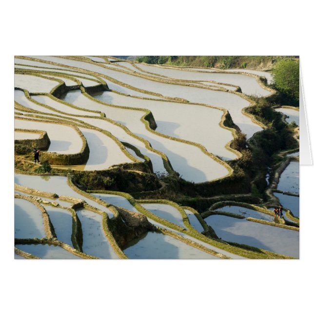 Cartão Ásia, China, Província de Yunnan, Condado de Yuany (Frente Horizontal)