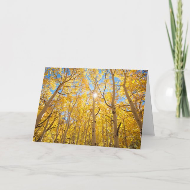 Cartão Aspen Árvores | Serra Nevada, CA (Frente)