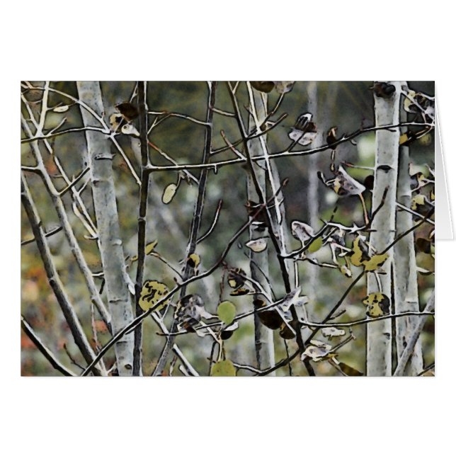 Cartão Aspen Forest (Frente Horizontal)