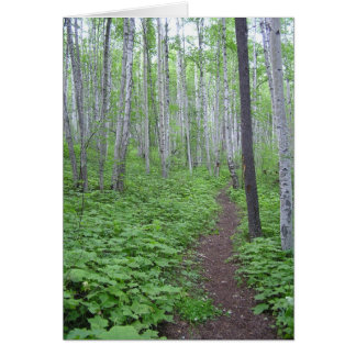 Cartão Aspen Forest, BC