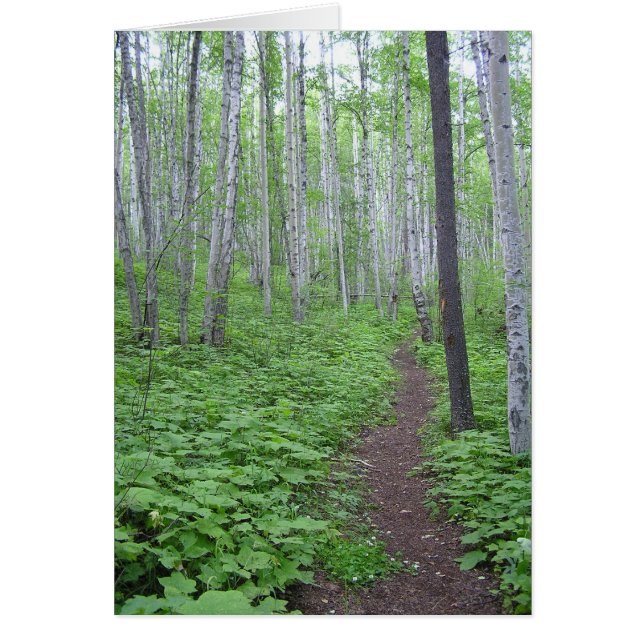 Cartão Aspen Forest, BC (Frente)