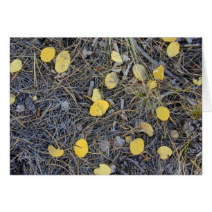 Cartão Aspen Ground II Card