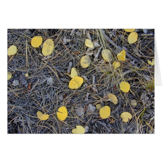 Cartão Aspen Ground II Card (Frente Horizontal)